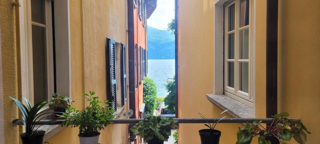 Mandello Riva Granda Apartment Mandello del Lario Ngoại thất bức ảnh